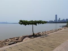 -深圳湾公园(南山区)