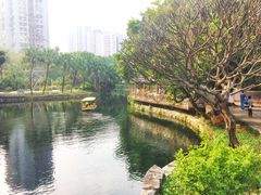 -晓港公园
