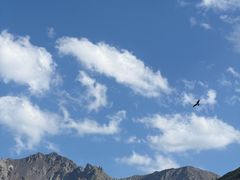 -新疆那拉提国家旅游度假区
