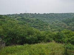 -大青沟风景区