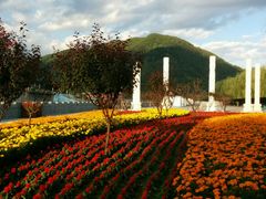 android_upload_pic-江心岛