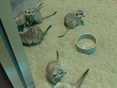 -大连圣亚海洋世界