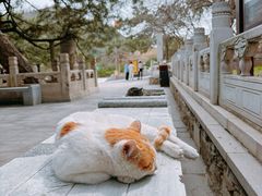-潭柘寺景区