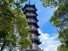 -黄贤森林公园