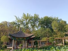 -莲湖公园