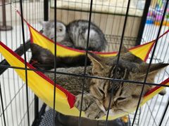 -大悦城(沈阳中街店)