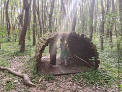 -同里国家湿地公园