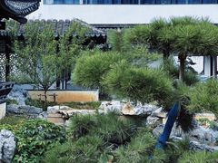 -青果巷历史文化街区