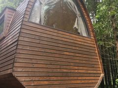 -黄海国家森林公园