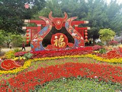 -金鸡山公园