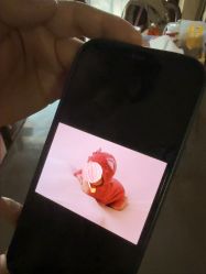 -玛瑞莎孕婴童摄影到家拍