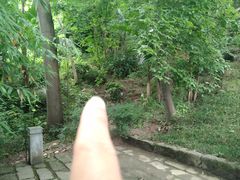 -屈原故里文化旅游区