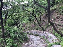 -阳台山自然风景区