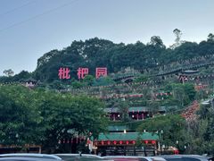 -枇杷园食为鲜火锅(南山店)