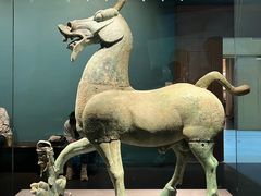 -广西壮族自治区博物馆