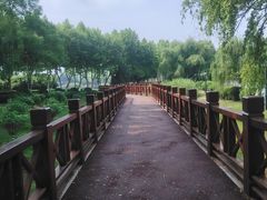 -金银湖国家城市湿地公园