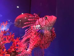 -长春中泰海洋世界