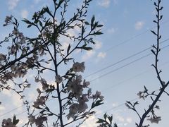 -汉江湾体育公园