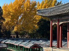 -宫事颐庭·老佛爷贵寿下午茶(颐和园店)