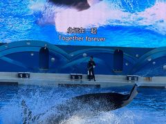 -上海海昌海洋公园