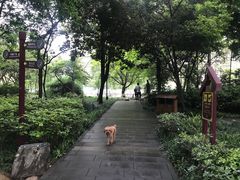 -成都市活水公园
