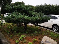 -呼吸森林·生态农庄农家乐私房菜