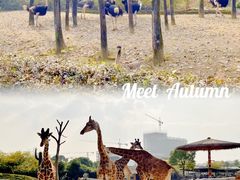 -杭州野生动物世界