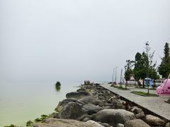 -长兴太湖图影湿地文化园