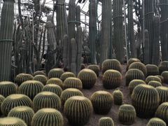 -南山植物园