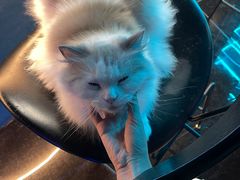 -暗楼·剧本杀·桌游