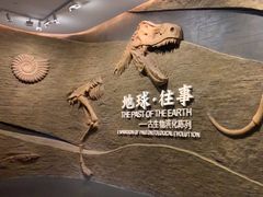-柳州白莲洞洞穴科学博物馆
