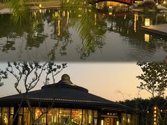-仙湖旅游度假区