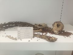 -成都中医药大学(温江校区)