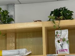 -中农大我爱我爱动物医院·核磁CT·猫病·24小时夜诊中心(石佛营店)