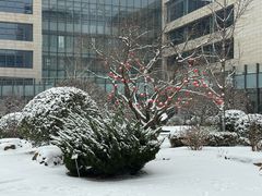 -中关村生命科学园