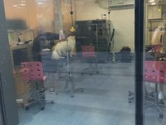 -瑞鹏宠物医院·眼科·皮肤·中兽医(大悦城分院)