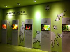 -歌斐颂巧克力小镇