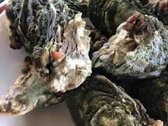 -南蚝小贝海鲜特色餐厅(南澳岛店)