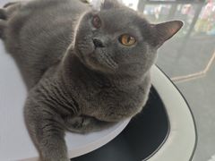 -贝利宠物医院·骨科·眼科·肿瘤转诊中心(南坪诊疗中心)