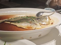 -维园悦谱·海派家常菜(乌鲁木齐南路店)