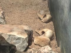 -昆明动物园