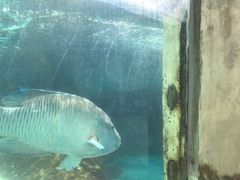 -新加坡水上探险乐园