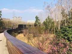 -昆山城市生态森林公园