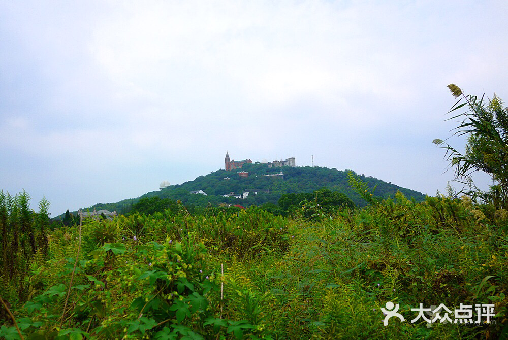 佘山國家森林公園-圖片-上海周邊遊-大眾點評網