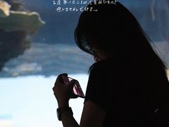 -福州罗源湾海洋世界旅游区