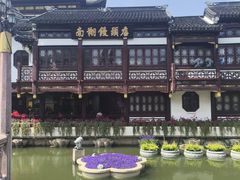 -南翔馒头店(豫园店)