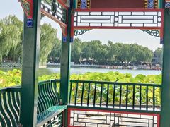 -后海公园