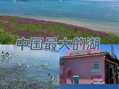 -青海湖国家重点风景名胜区