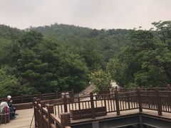 -北京植物园-展览温室