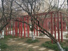 -西安市长乐公园